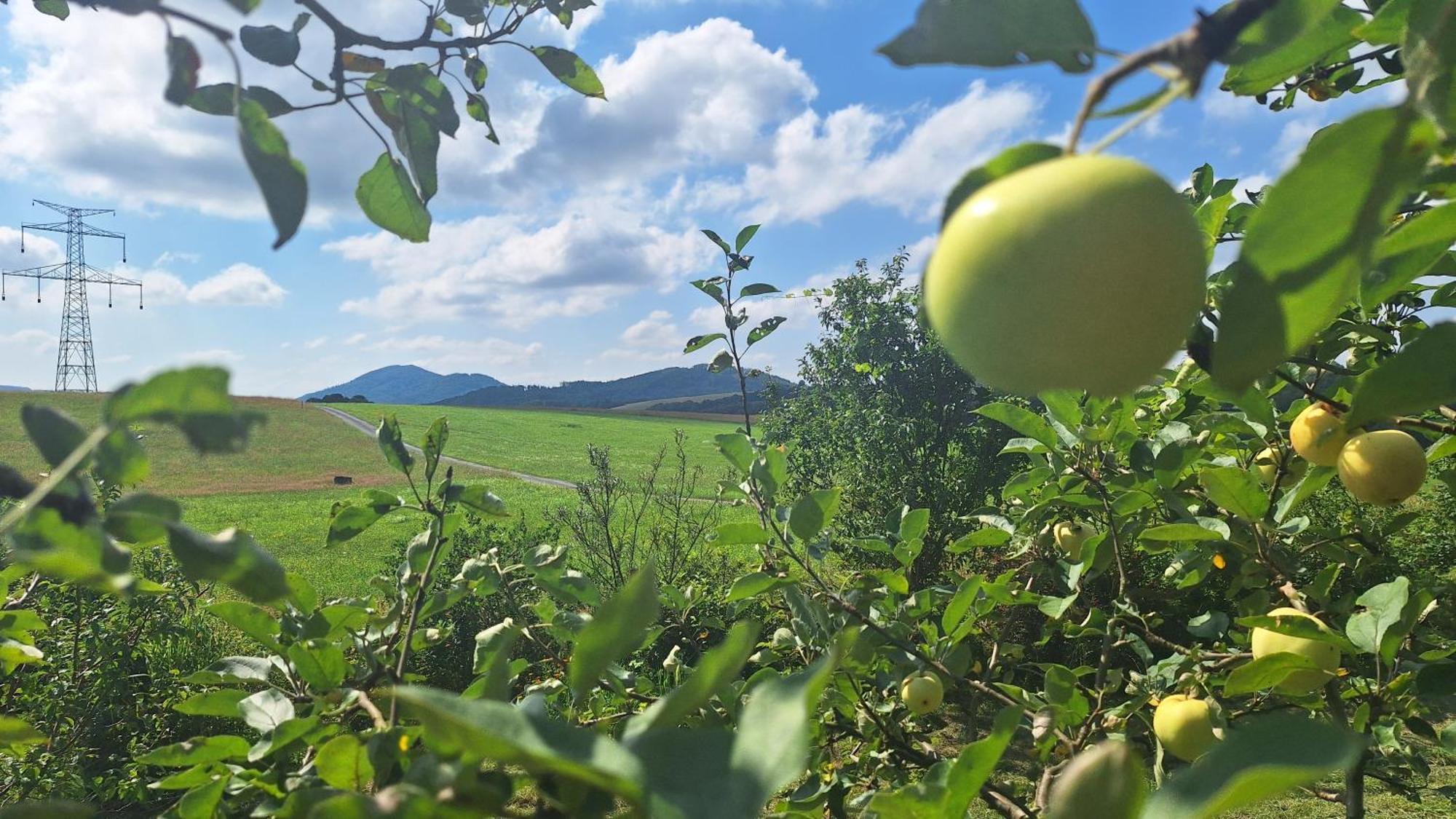 Domek Pod Jabloni Tichá Esterno foto